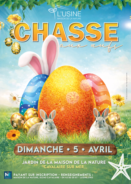 chasse aux oeufs